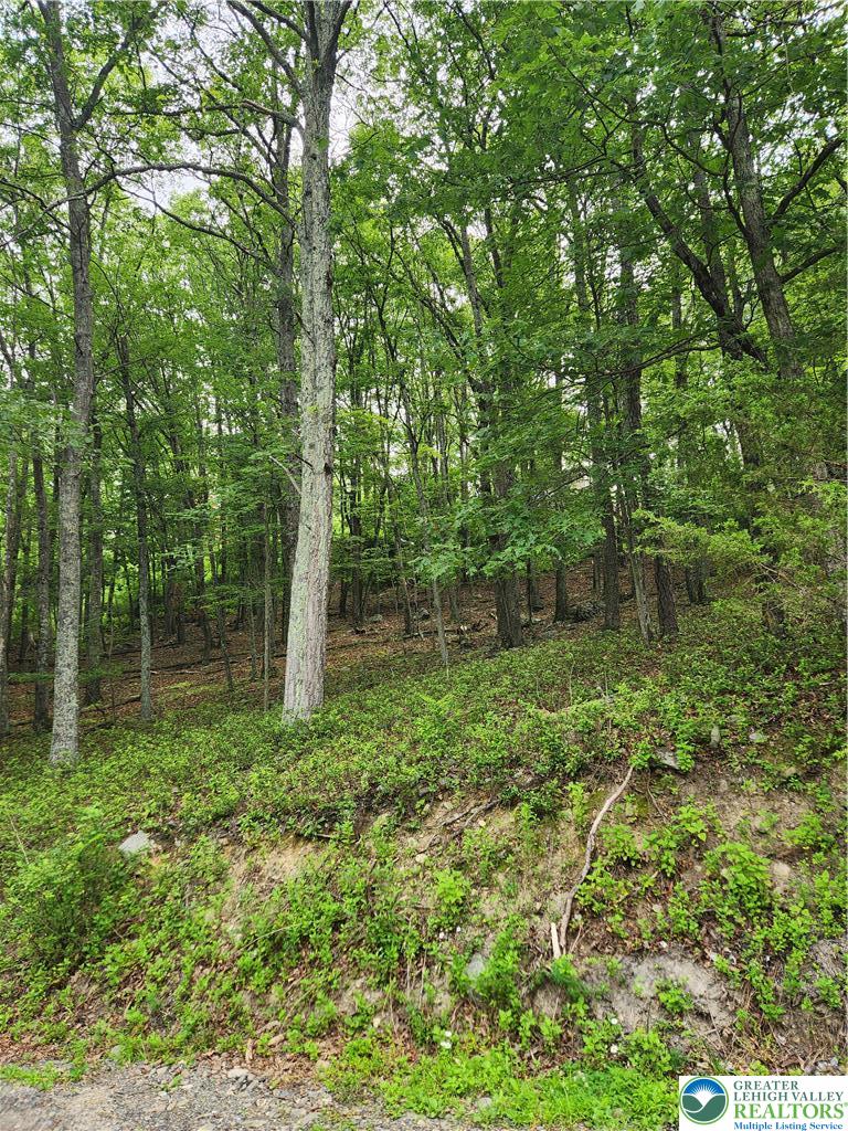 Seneca Road Property Photo 3