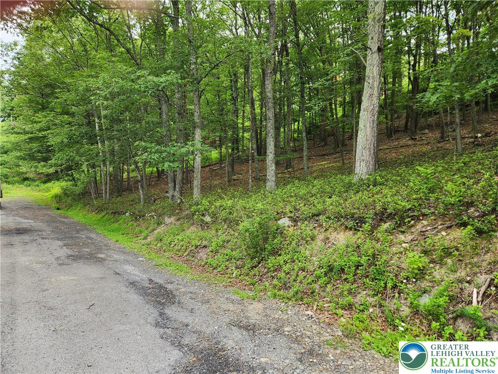 Seneca Road Property Photo 4