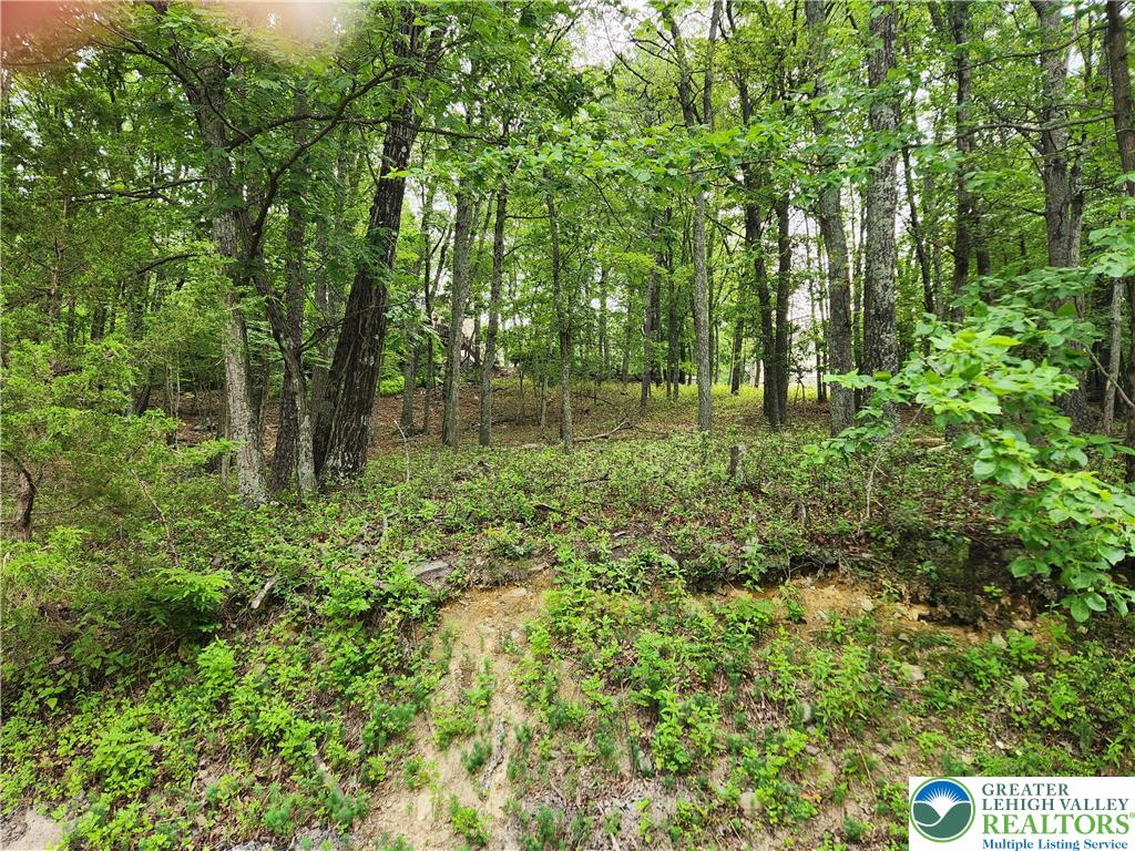 Seneca Road Property Photo 5