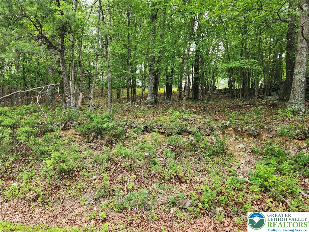 Seneca Road Property Photo 6