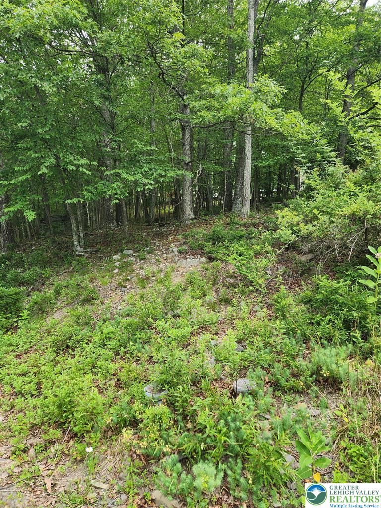 Seneca Road Property Photo 7