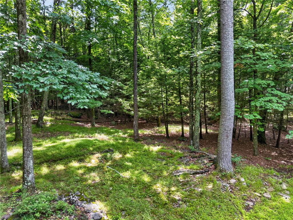 169 Sportsmen Drive Property Photo 26