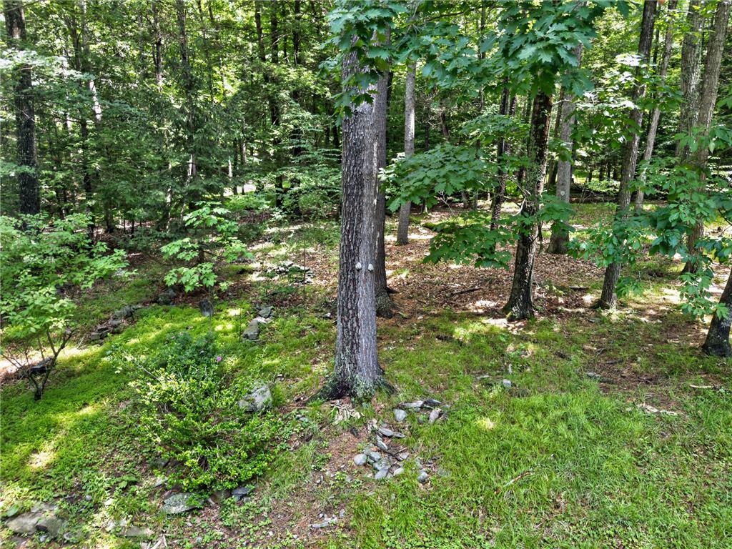 169 Sportsmen Drive Property Photo 28