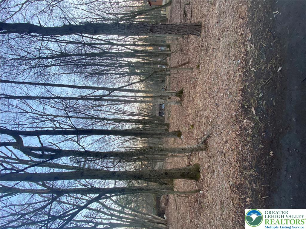 383 Johns Road Property Photo 2