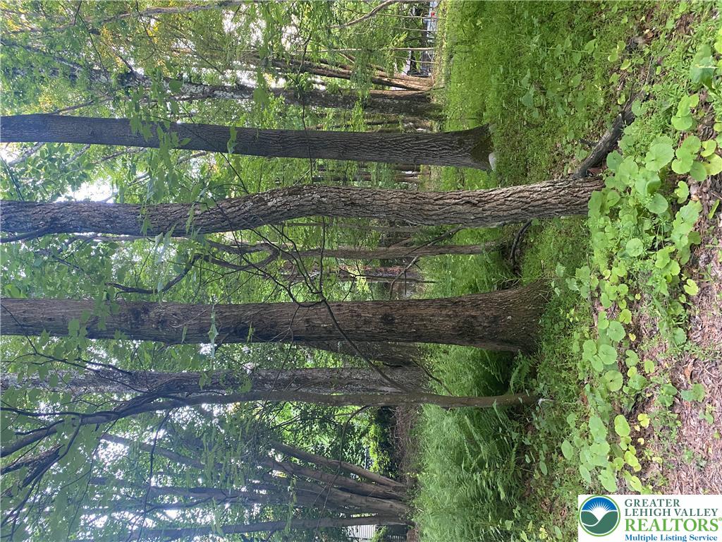 383 Johns Road Property Photo 4