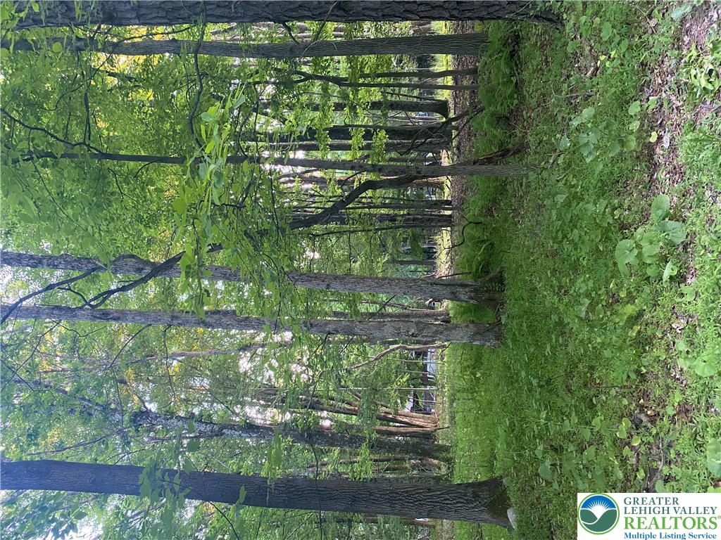 383 Johns Road Property Photo 5