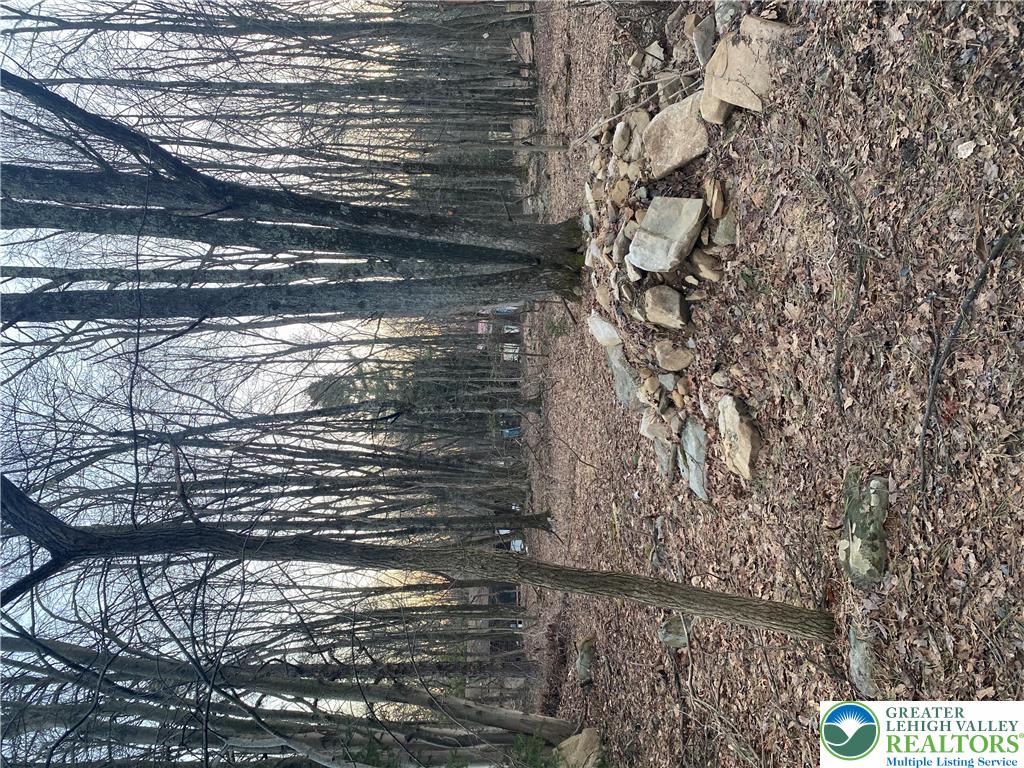 383 Johns Road Property Photo 6