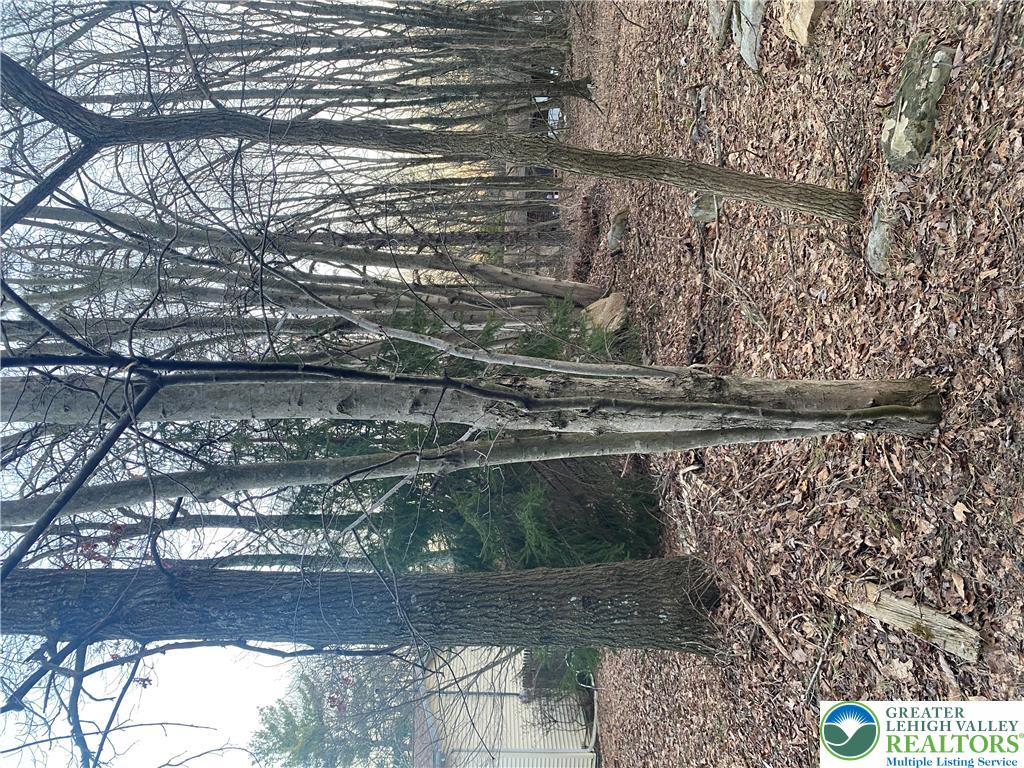 383 Johns Road Property Photo 7