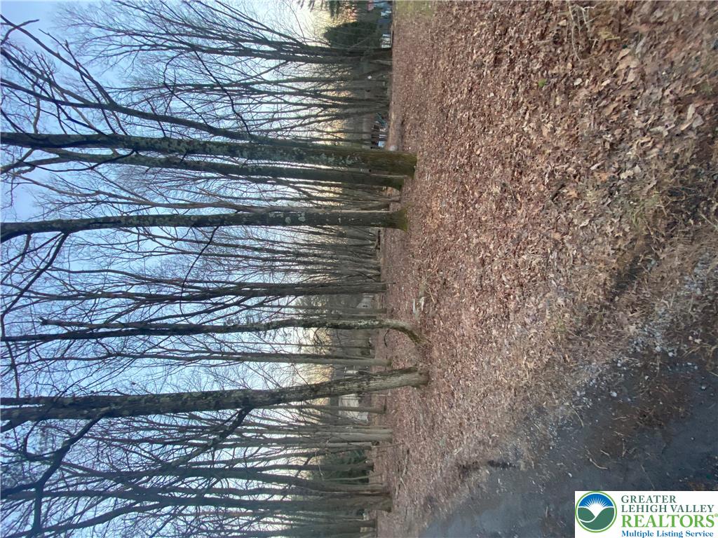383 Johns Road Property Photo 8