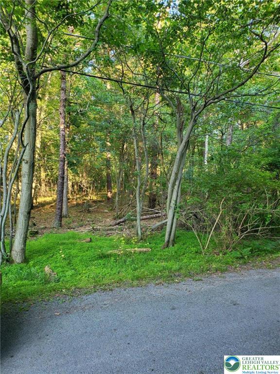 5120 Pine Tr Lane 808,809 Property Photo 1