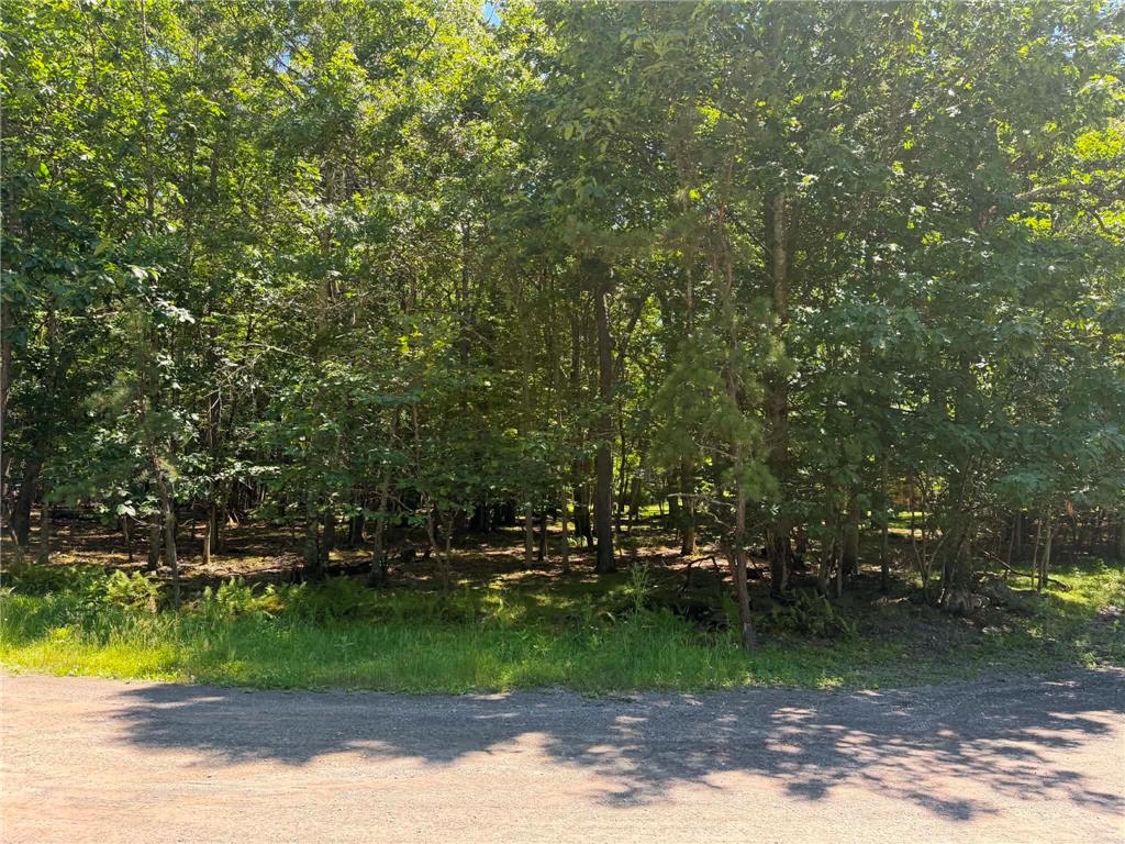 Wildwood Lane Property Photo 2