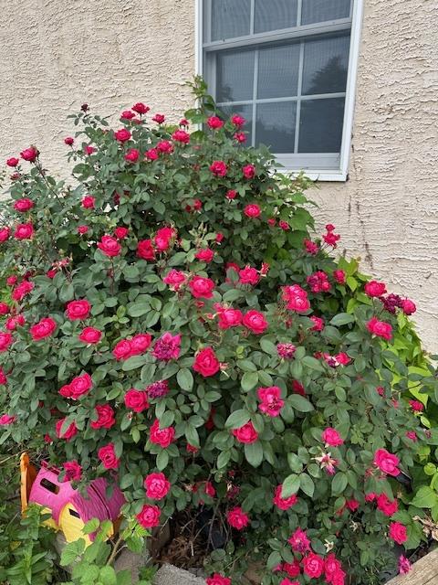 120 Fox Run Property Photo 35