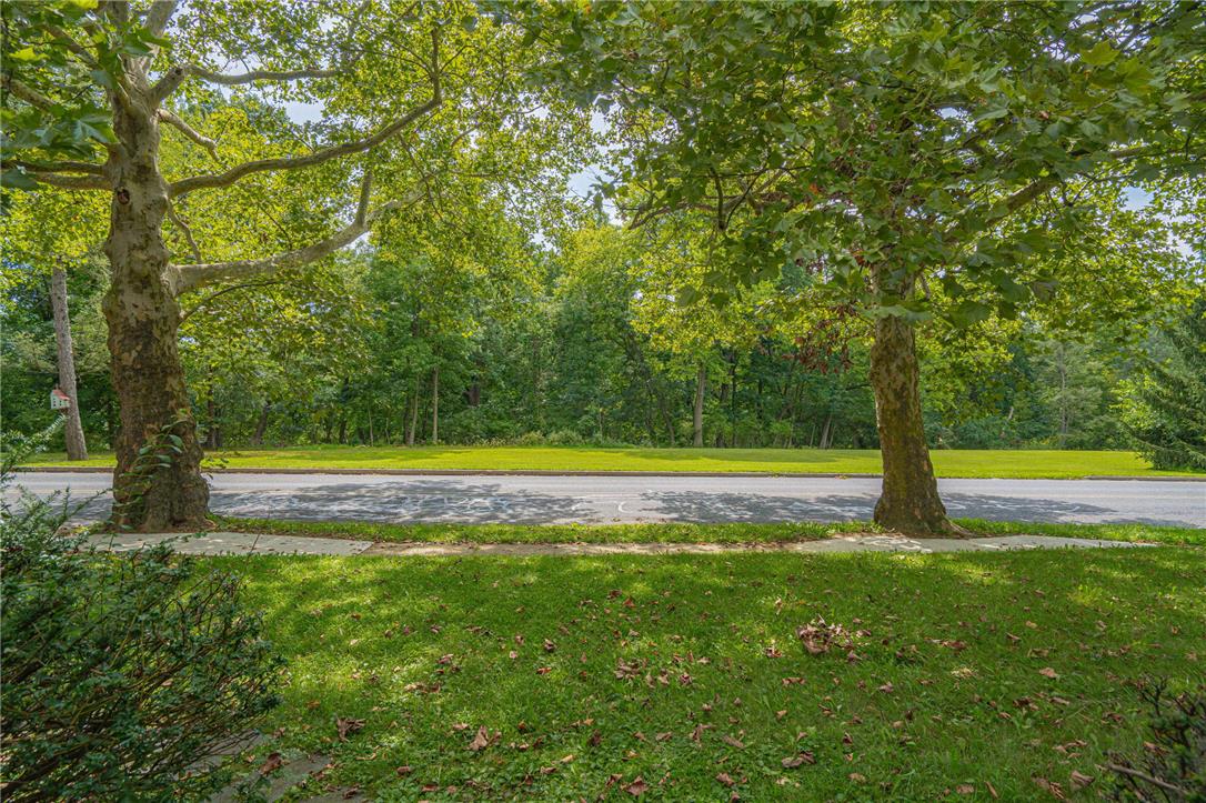 1055 Lehigh Parkway East Property Photo 6