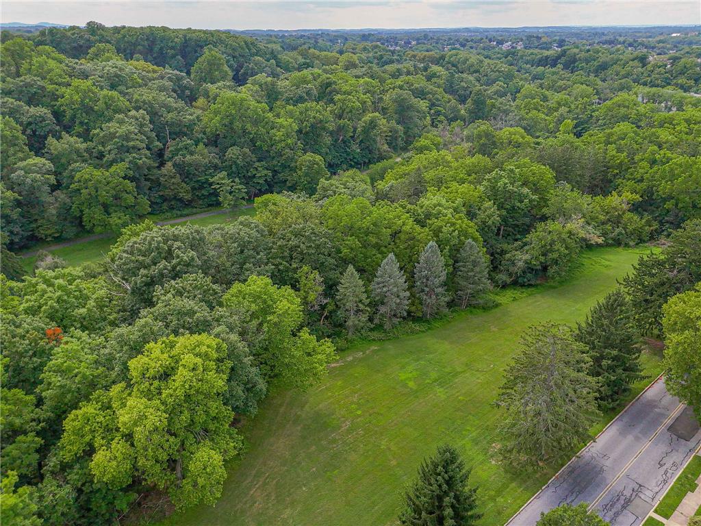 1055 Lehigh Parkway East Property Photo 54