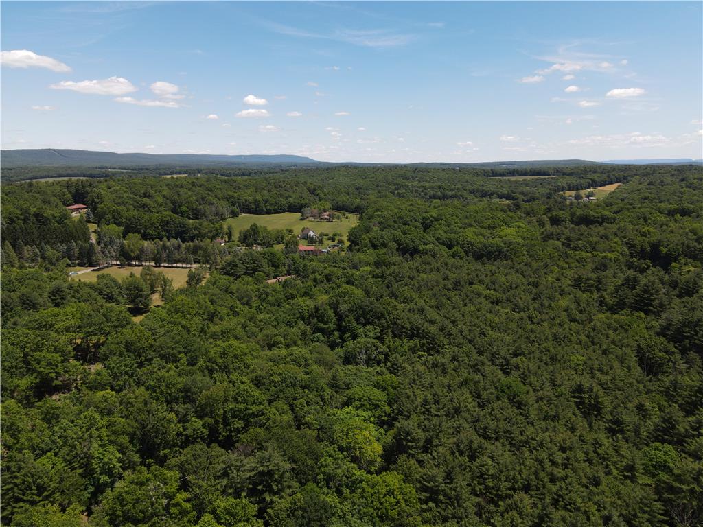247 Haney Road Property Photo 3