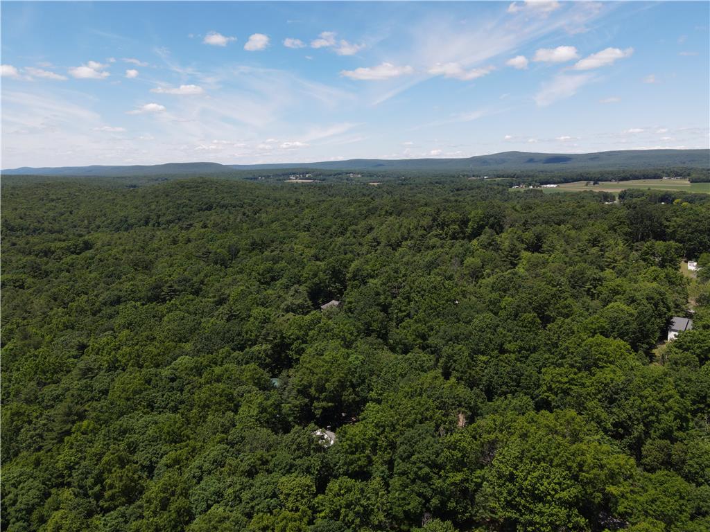 247 Haney Road Property Photo 4