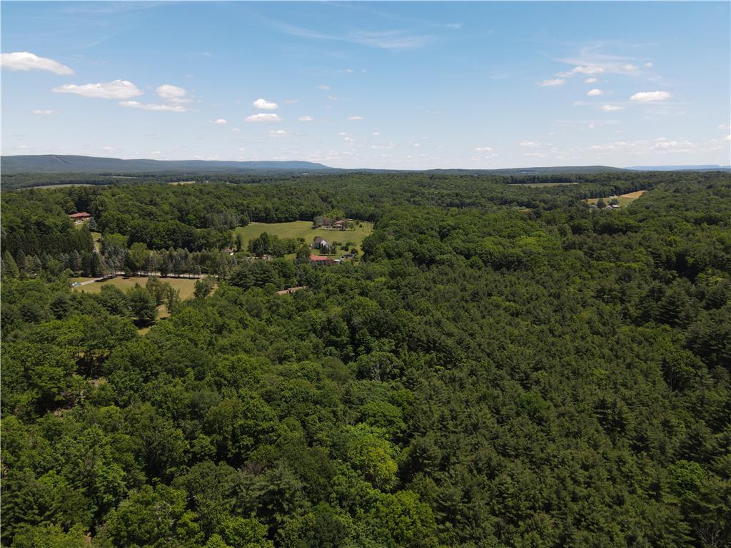 247 Haney Road Property Photo 8