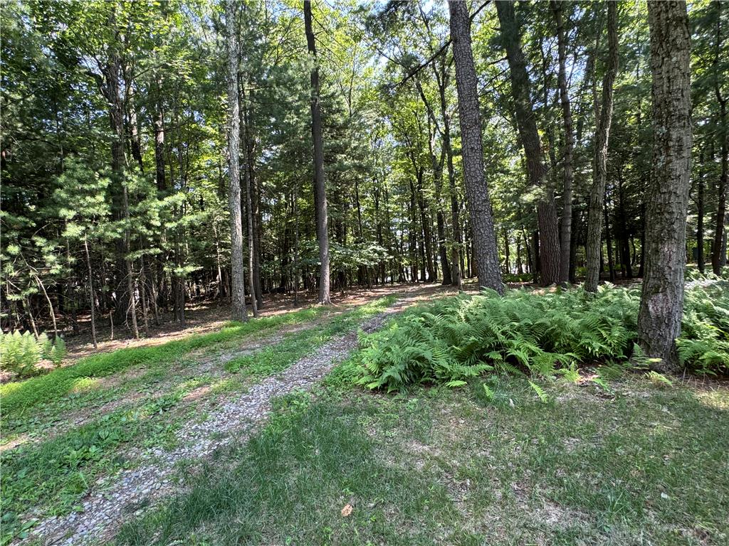 629 Carney Road Property Photo 47