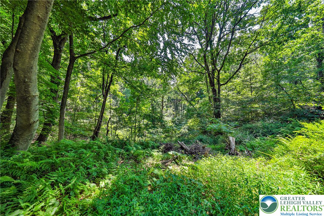 169 Dogwood Lane Property Photo 46