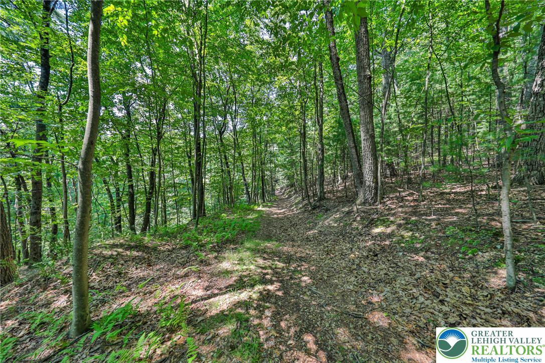 169 Dogwood Lane Property Photo 47