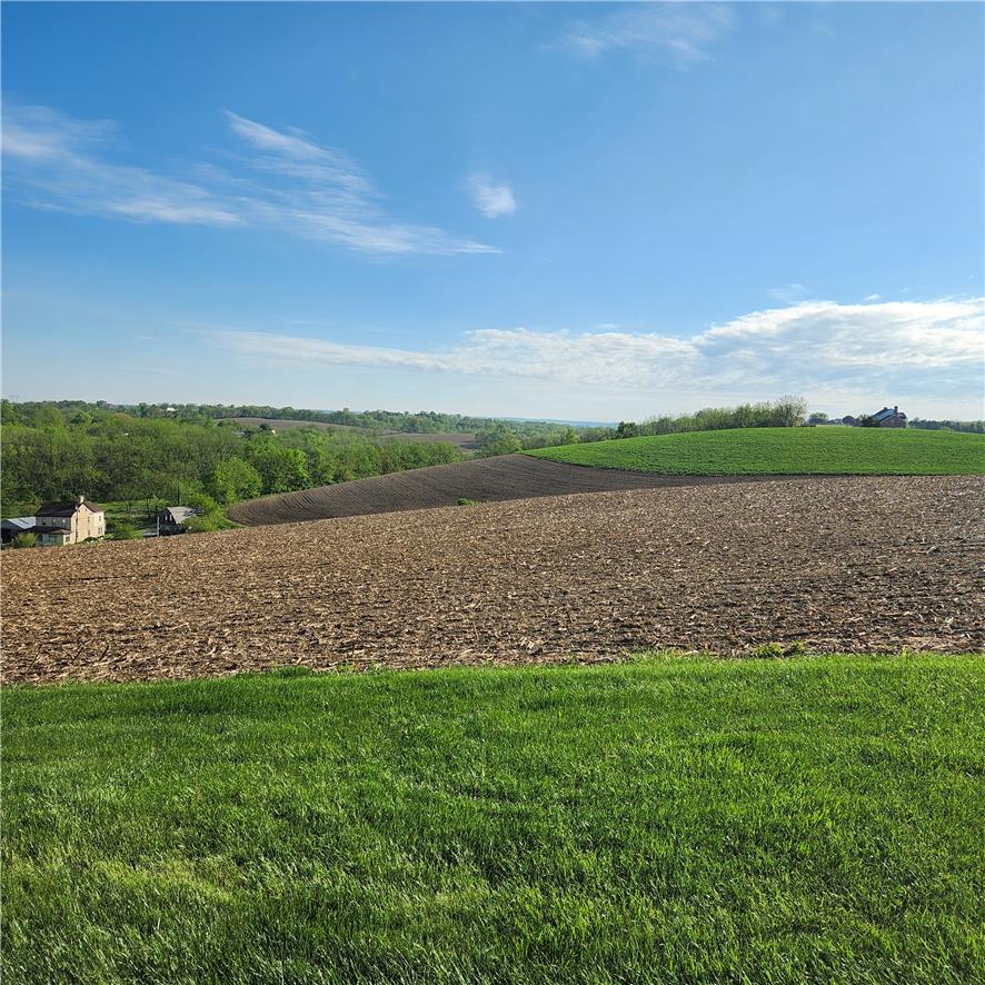 2420 Spring Street Property Photo 4