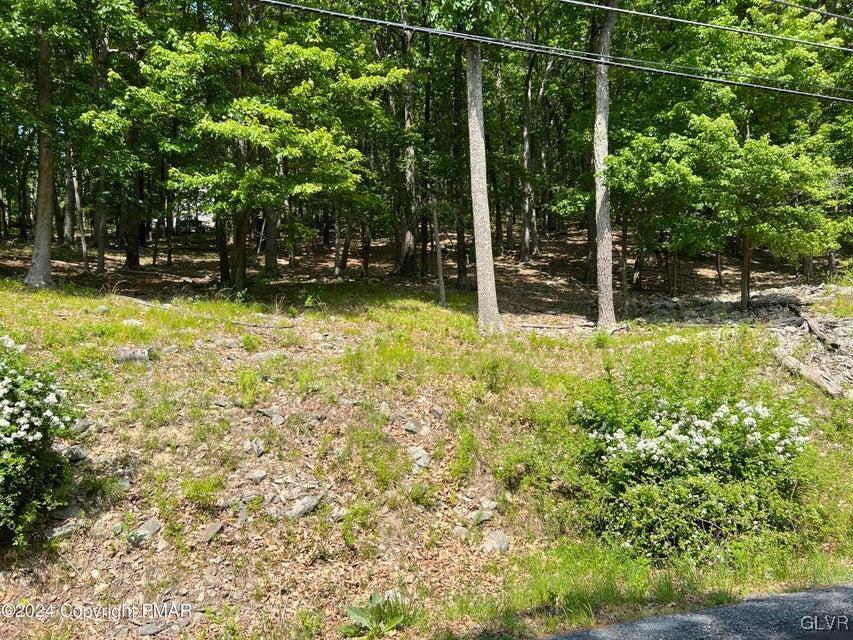 1868 Brentwood Property Photo 1