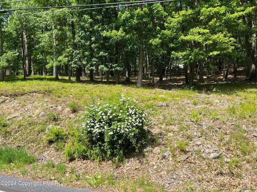 1868 Brentwood Property Photo 2