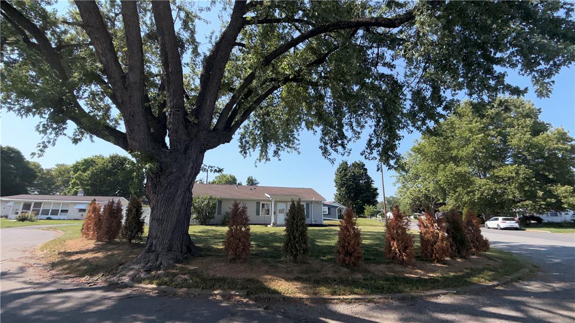 49 Seyfried Avenue Property Photo 17