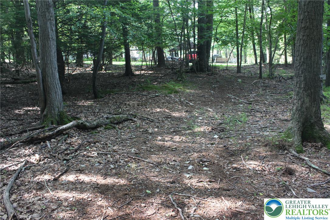 12 Turkey Ridge Drive Property Photo 2