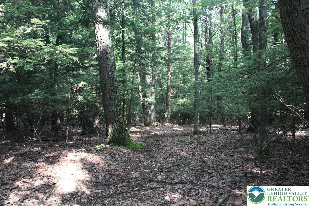 12 Turkey Ridge Drive Property Photo 3