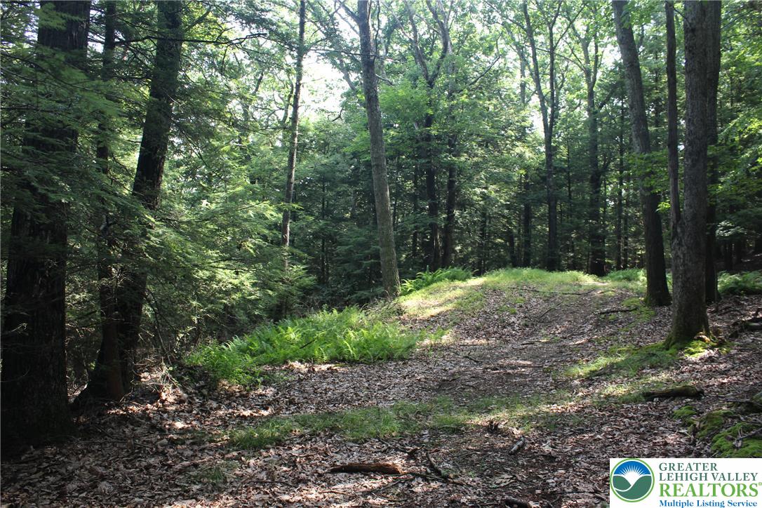 12 Turkey Ridge Drive Property Photo 4