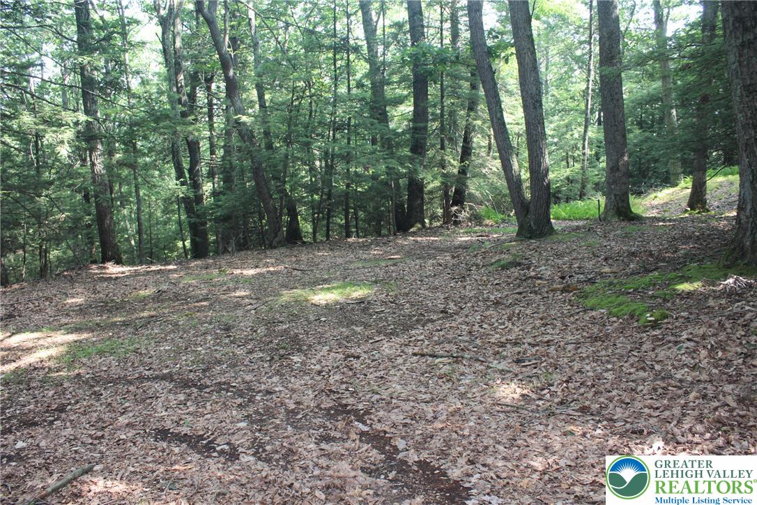 12 Turkey Ridge Drive Property Photo 5