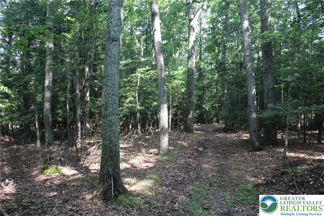 12 Turkey Ridge Drive Property Photo 6