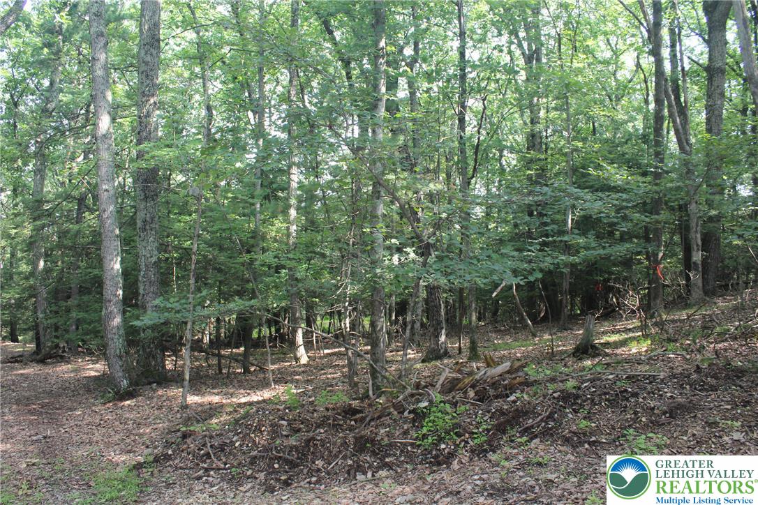 12 Turkey Ridge Drive Property Photo 7