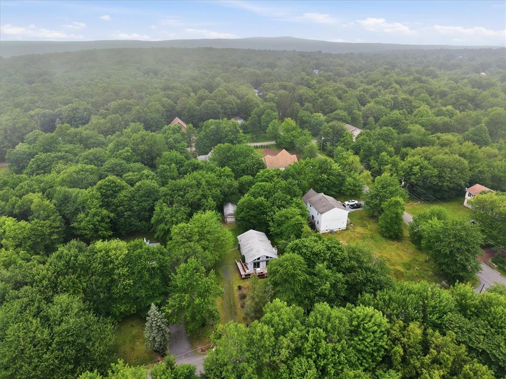 10 Lenape Trail Property Photo 31