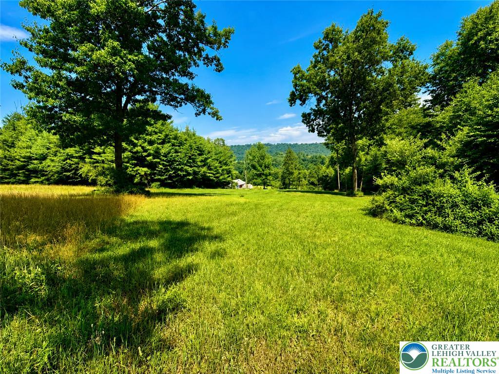 Vacant Land Off Lakewood Drive Property Photo 1