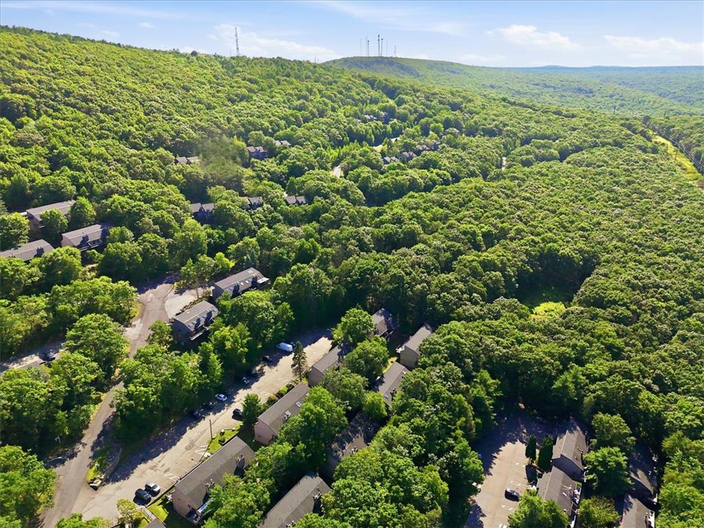 126 Cross Country Lane Property Photo 45