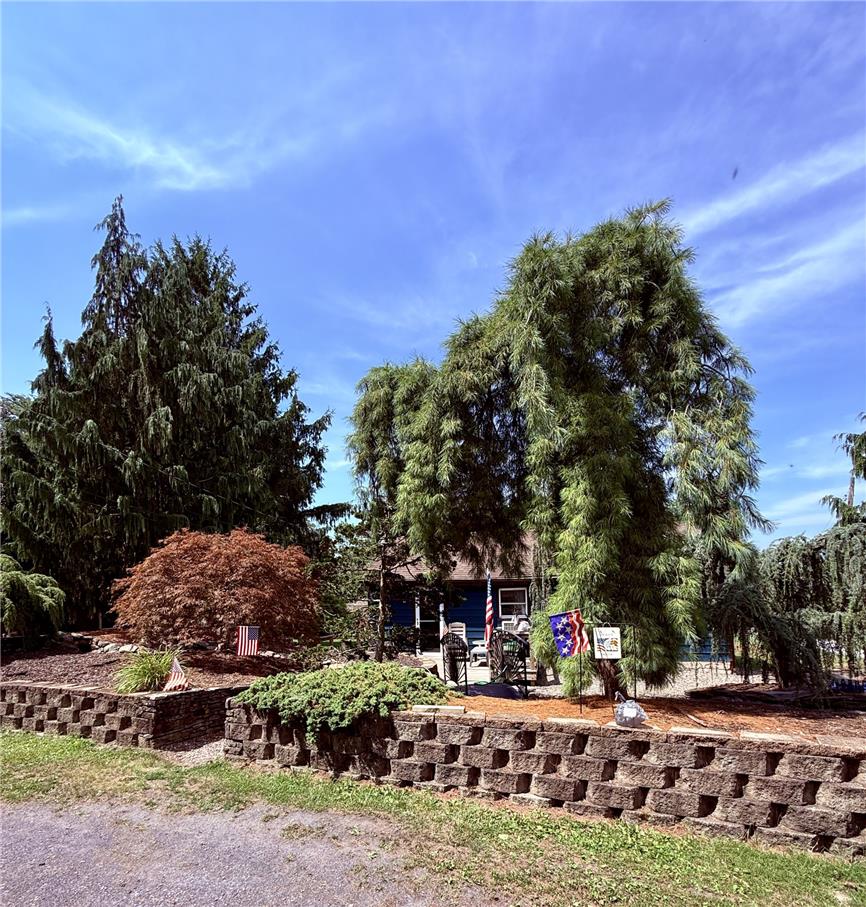 1988 Herbert Avenue Property Photo 10