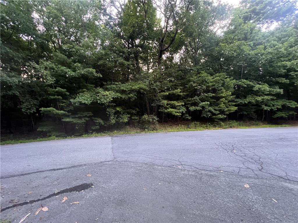 Arlene Drive Property Photo 4