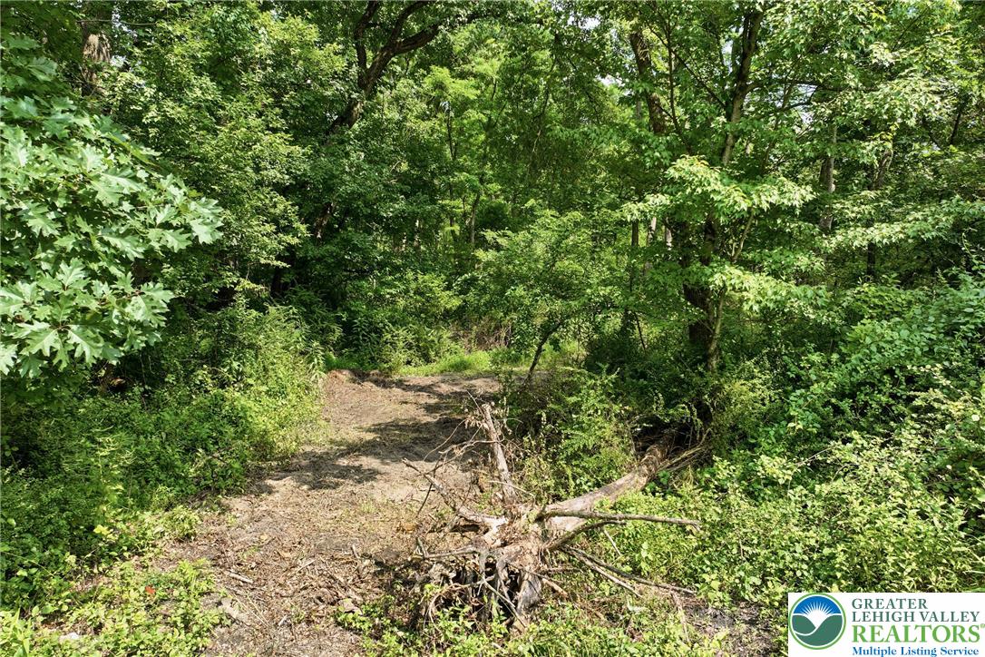 429 Riverview Drive Property Photo 61