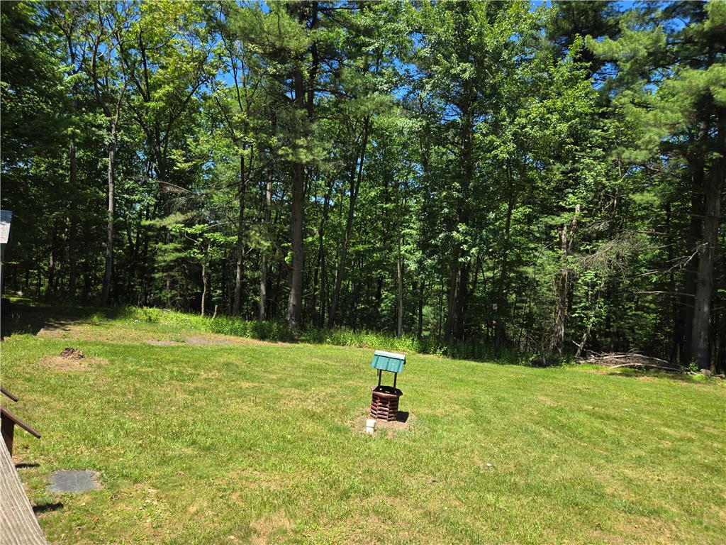 485 Buck Hill Road Property Photo 22