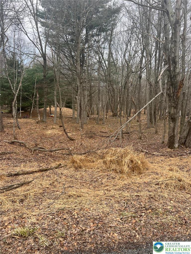 1019 Crazy Horse Trail Property Photo 5