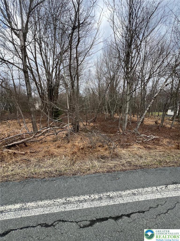 1916 East Old Stage Road Property Photo 3