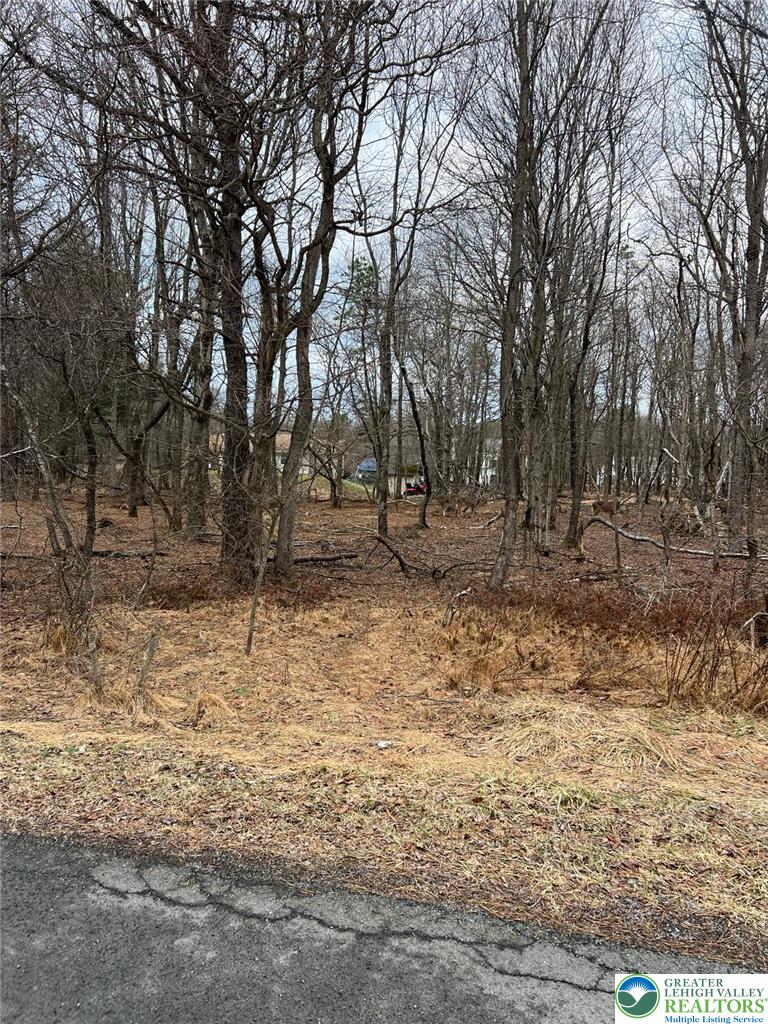1475 Chippewa Trail Property Photo 2