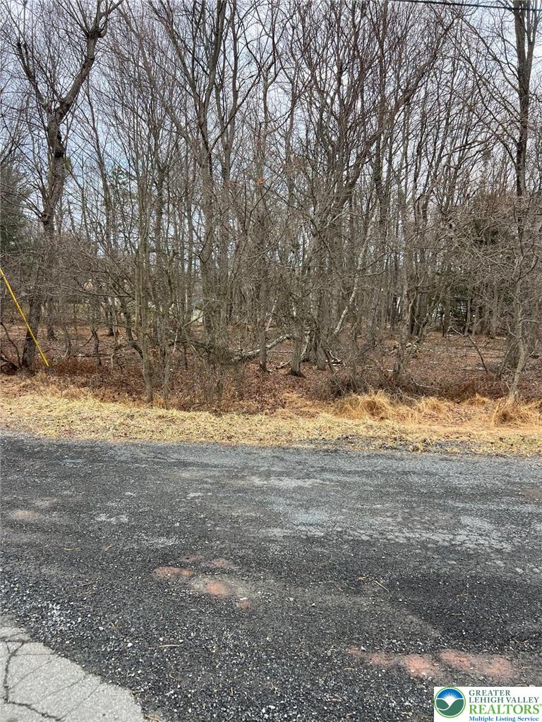 1475 Chippewa Trail Property Photo 4