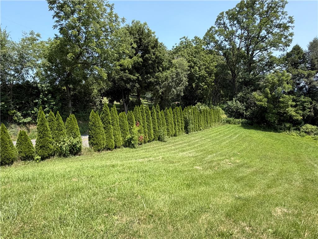 2552 Spring Street Property Photo 7