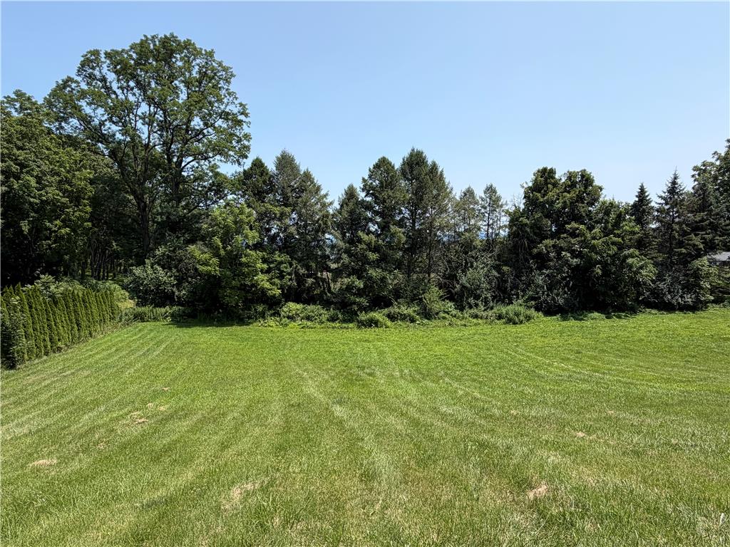 2552 Spring Street Property Photo 9
