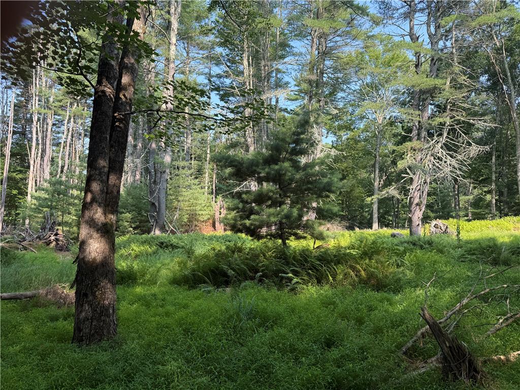 Rebels Road Lot 2c Property Photo 1