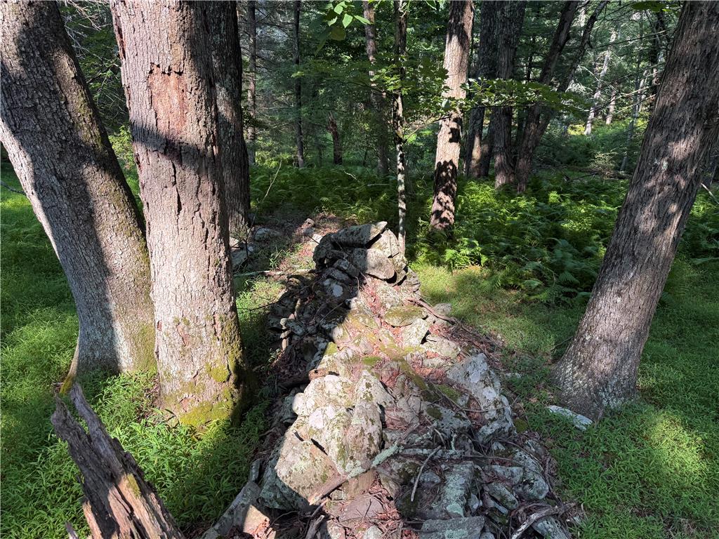 Rebels Road Lot 2c Property Photo 2