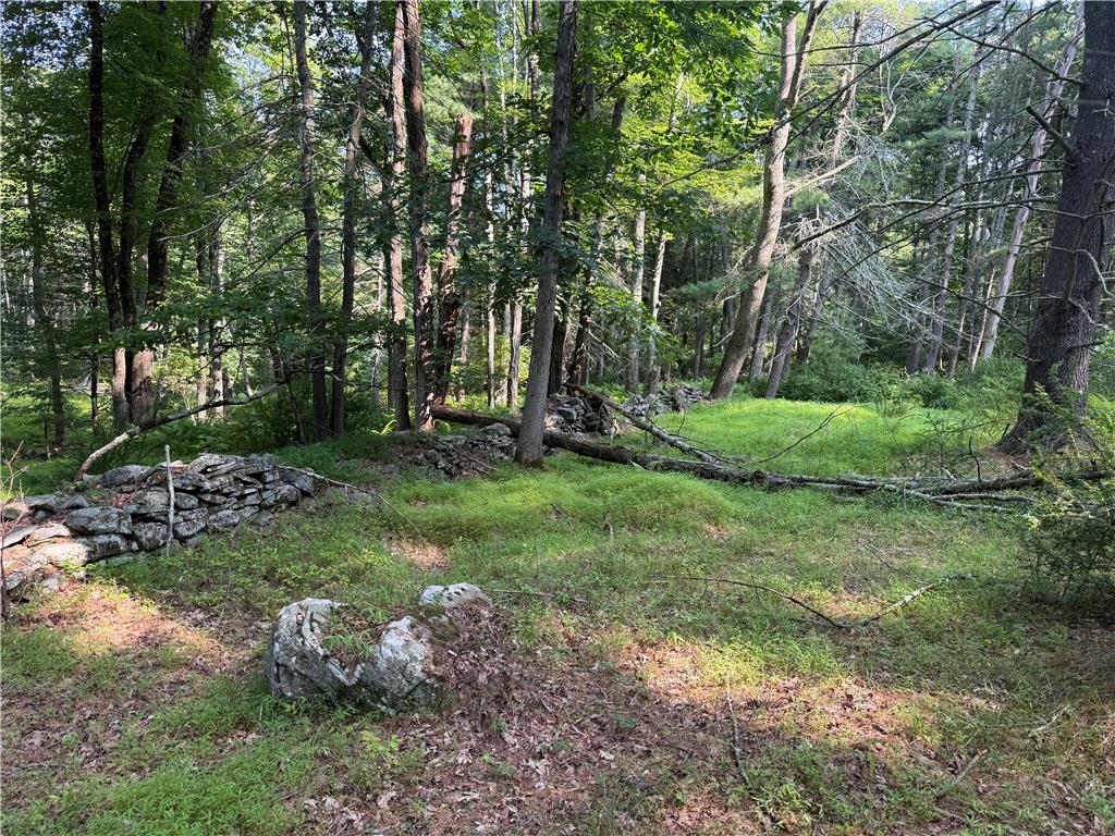 Rebels Road Lot 2c Property Photo 3